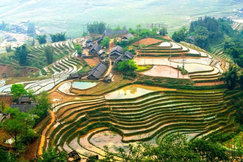 Image gallery